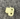 44678772
