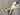 46607049