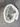 46598029