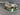 46569974