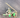 47700537