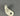 0850356-1 CESSNA BRACKET ASSEMBLY. N45