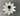 Lycoming Engine Oil Pump Housing Gear LW11810