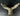 TCM 627688  Intake Plenum Cessna 185