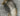 5155156–51 or  5155156–51 Cessna 421 Elbow Exhaust